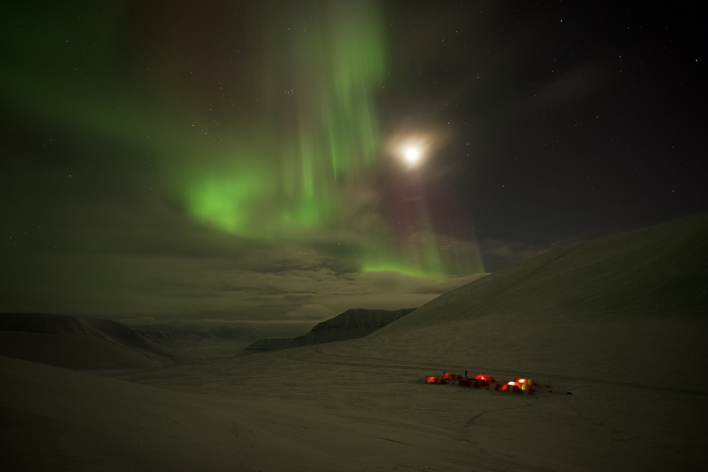 Svalbard ekspedition 2026 - MSR01101