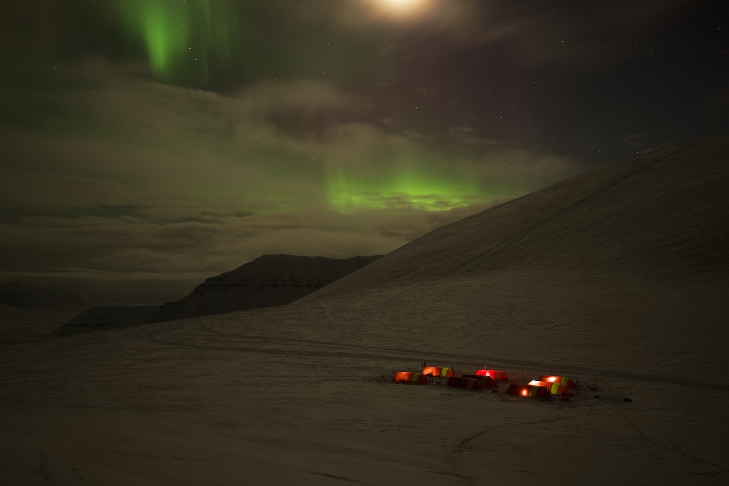 Svalbard ekspedition 2026 - MSR01105