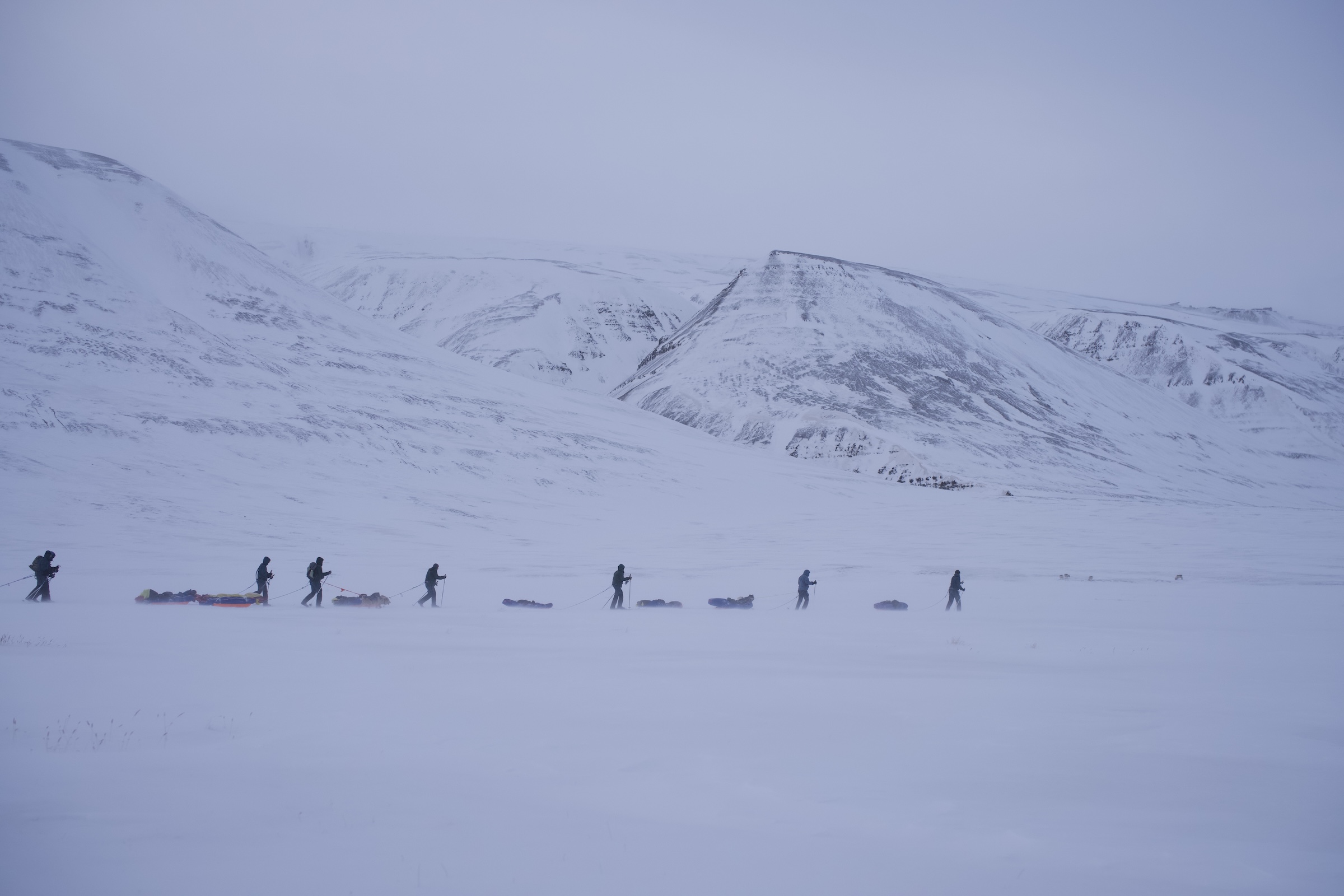 Svalbard ekspedition 2026 - MSR02174