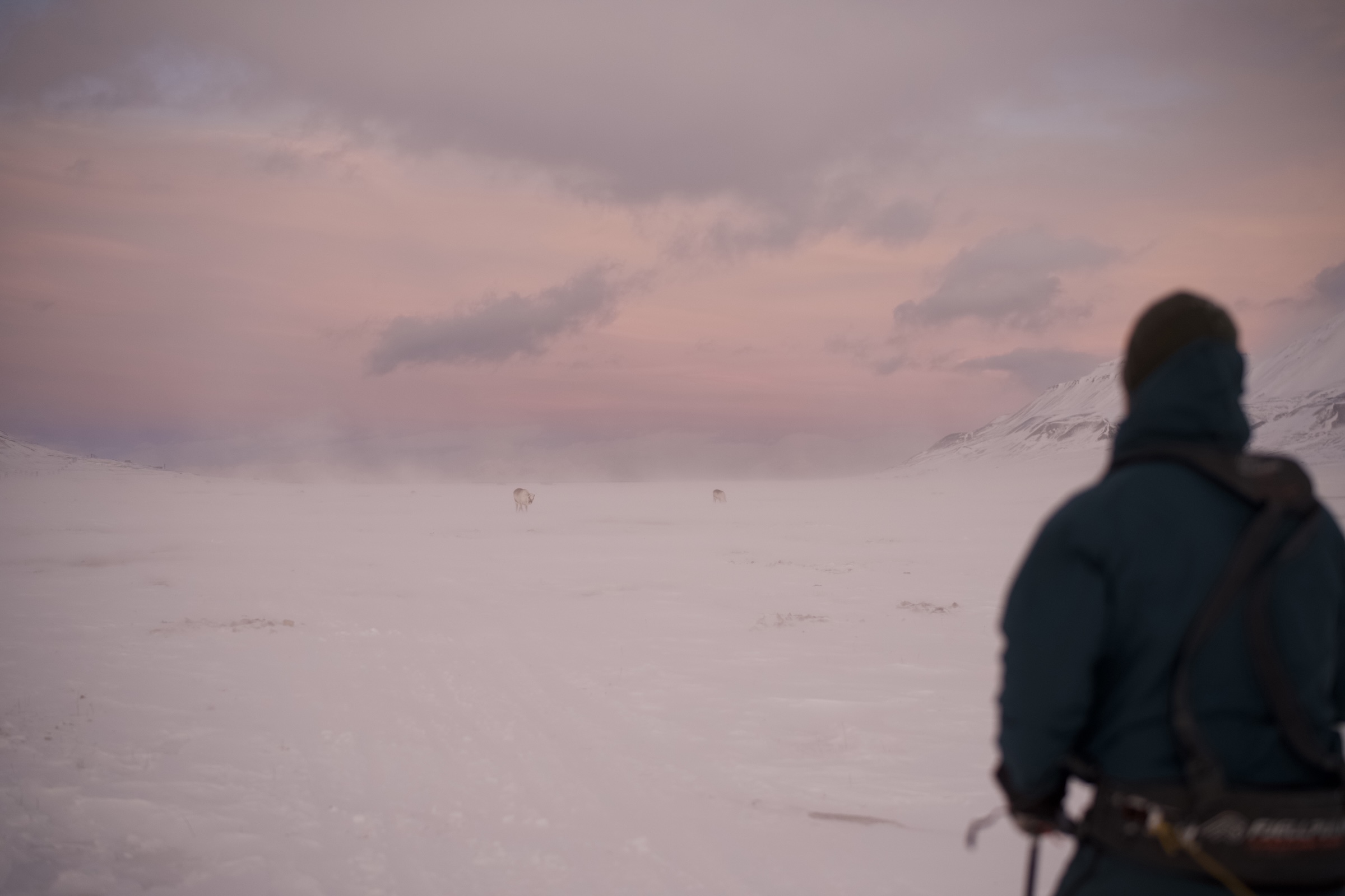 Svalbard ekspedition 2026 - MSR02605