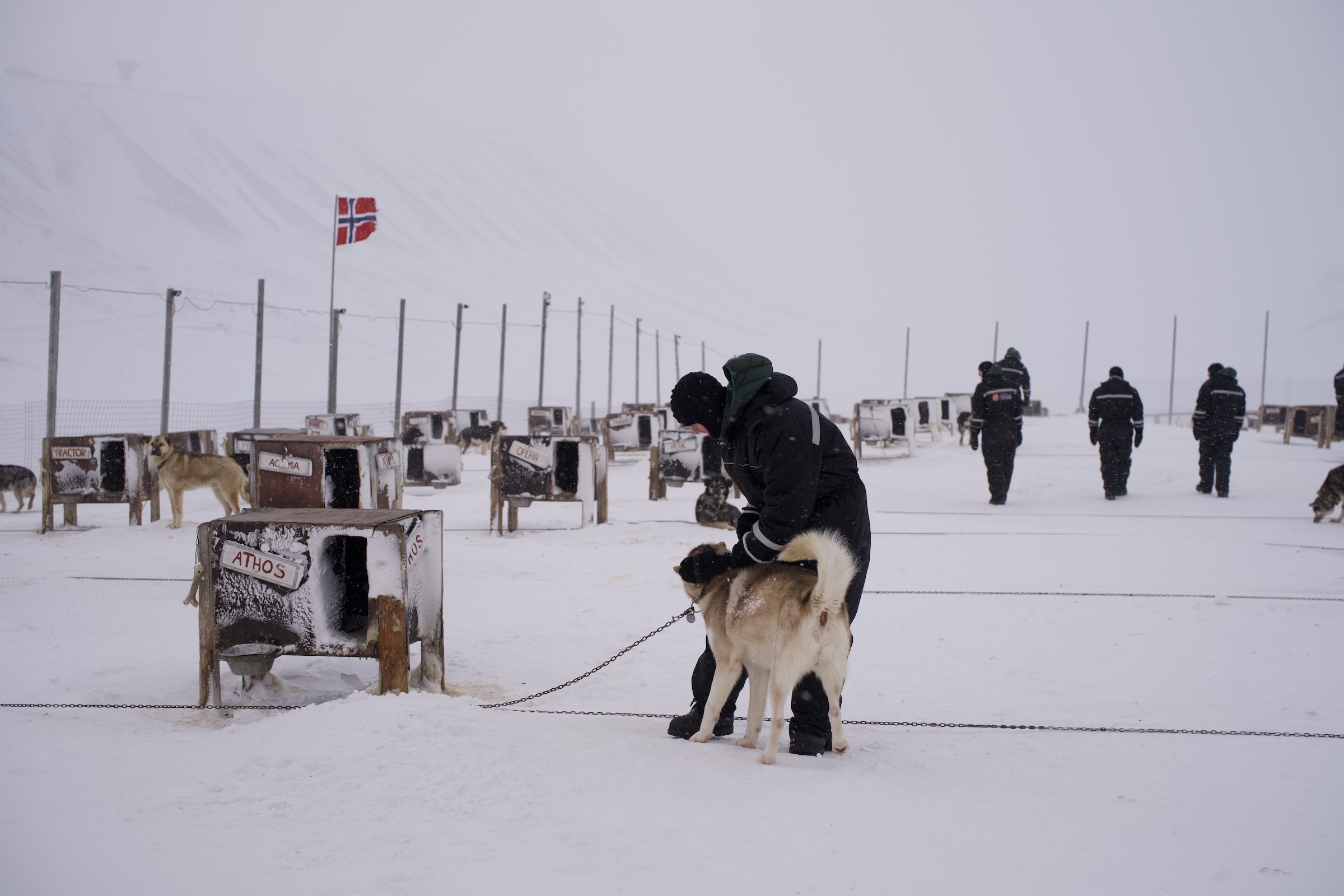 Svalbard ekspedition 2026 - MSR03318
