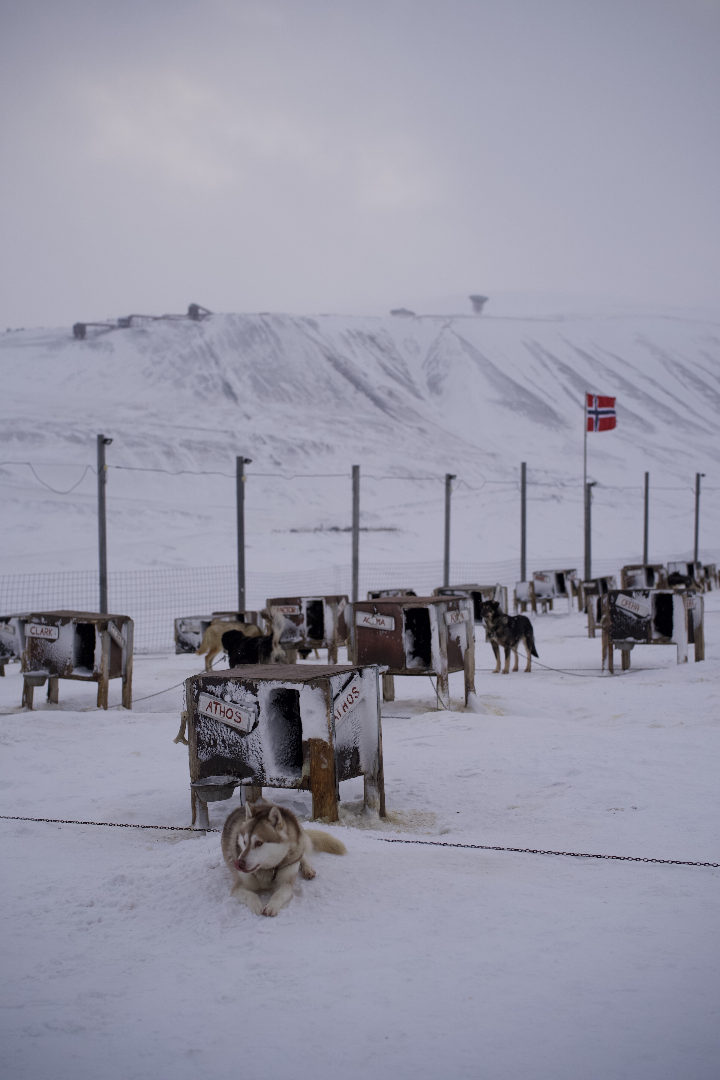 Svalbard ekspedition 2026 - MSR03372
