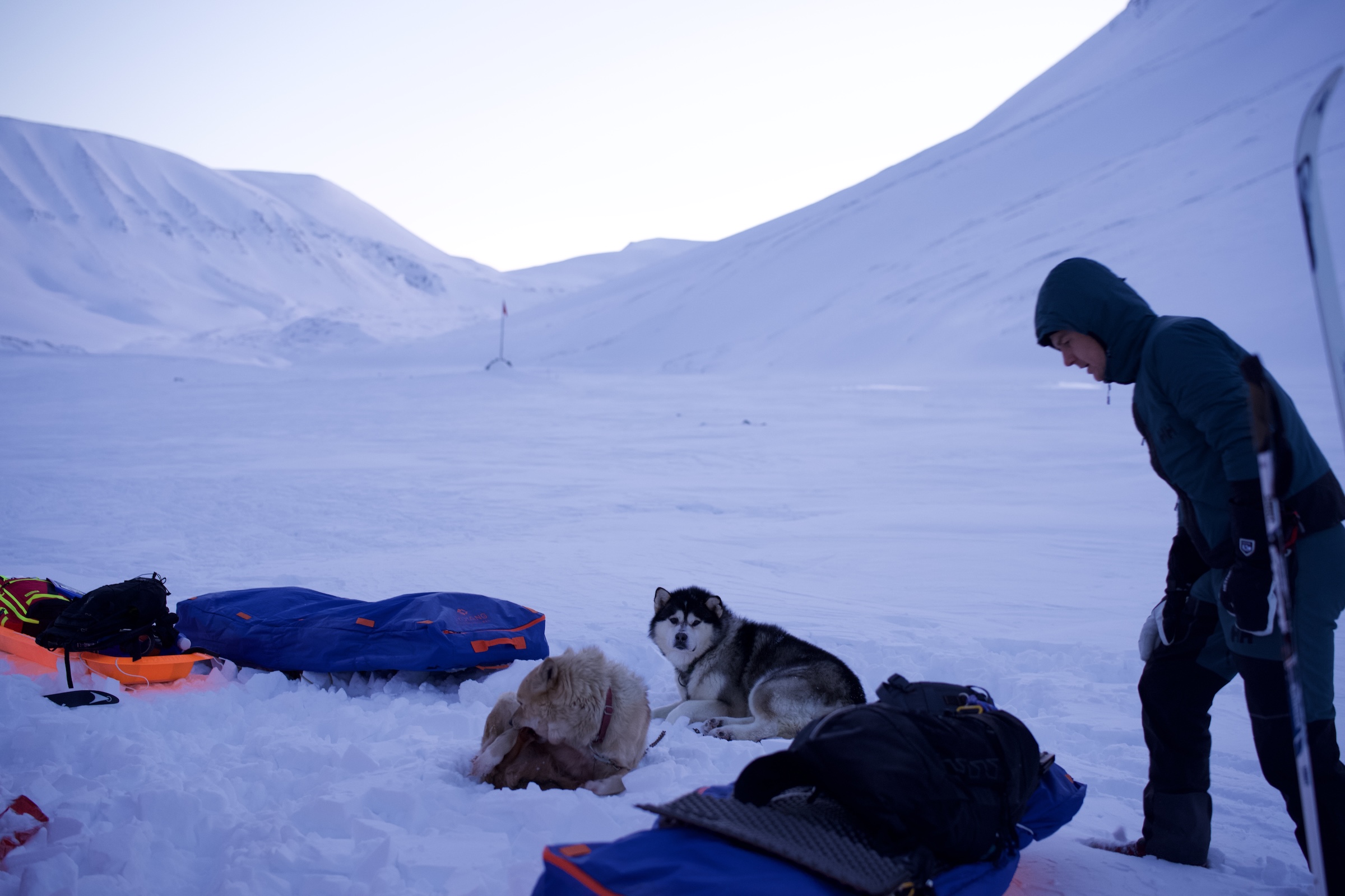 Svalbard ekspedition 2026 - MSR07463