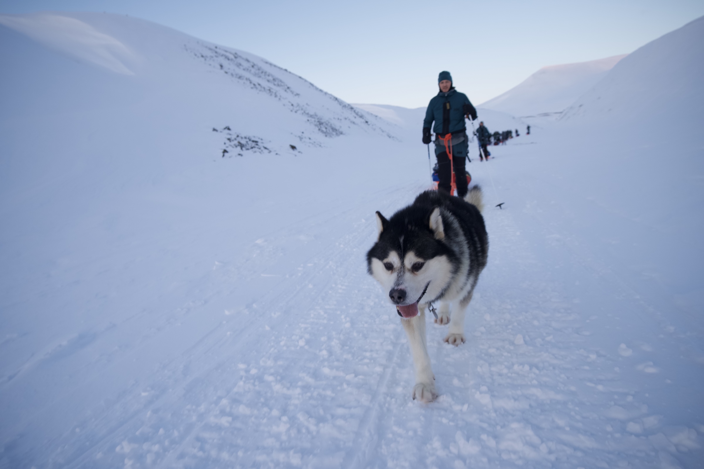 Svalbard ekspedition 2026 - MSR08644