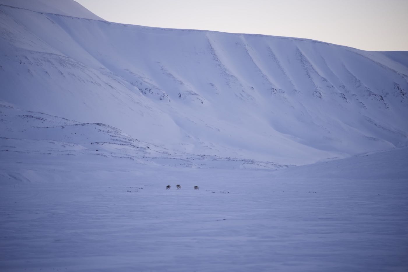 Svalbard ekspedition 2026 - MSR07269