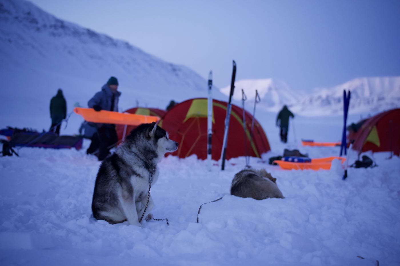 Svalbard ekspedition 2026 - MSR07496